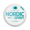 Nordic Spirit Spearmint Nicotine Pouches - My Nic Pouch